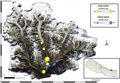 Biofuel Burning Influences Refractory Black Carbon Concentrations in Seasonal Snow at Lower Elevations of the Dudh Koshi River Basin of Nepal
